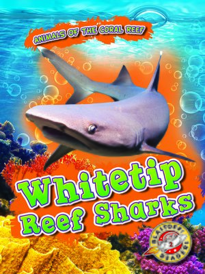 cover image of Whitetip Reef Sharks